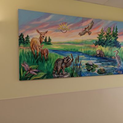 Mural of the animals on Oak Ridges Moraine in the Emergency Dept hallway