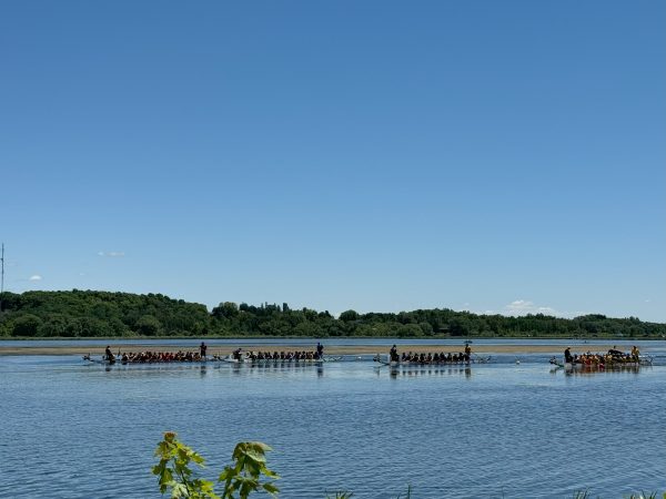 Dragon Boat Teams Racing